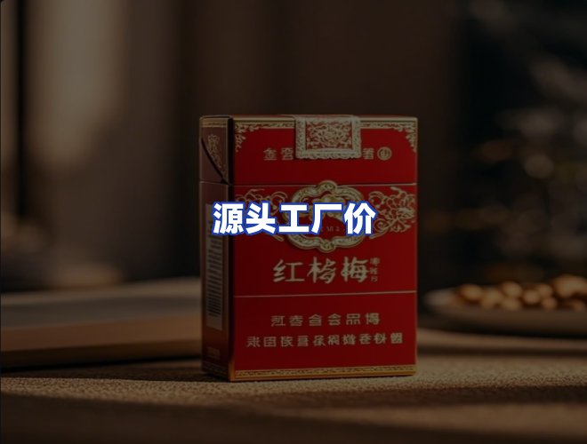 专业团队